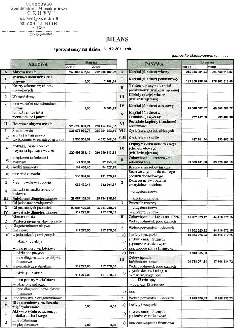 bilans2011_1
