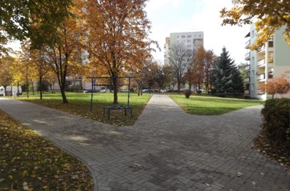 ruta1