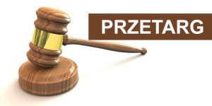 Miniaturka artykułu Remont części elewacji w budynkach mieszkalnych wielorodzinnych przy ulicach: Bursztynowa 25, Bursztynowa 19 oraz Bursztynowa 21 zlokalizowanych na Osiedlu „Widok” w Lublinie